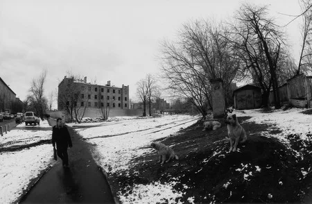 Street. Кадр 7