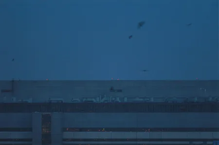 ZIL (Horizon of my windows). Кадр 8
