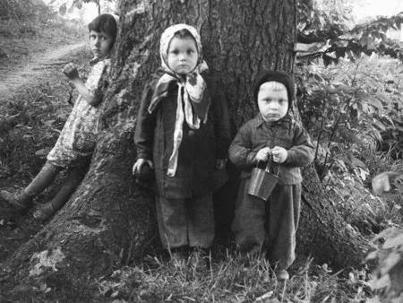 Фотолетопись Калининграда. Кадр 8