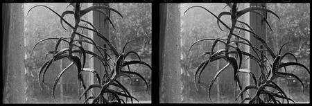 Transparent time. Кадр 17