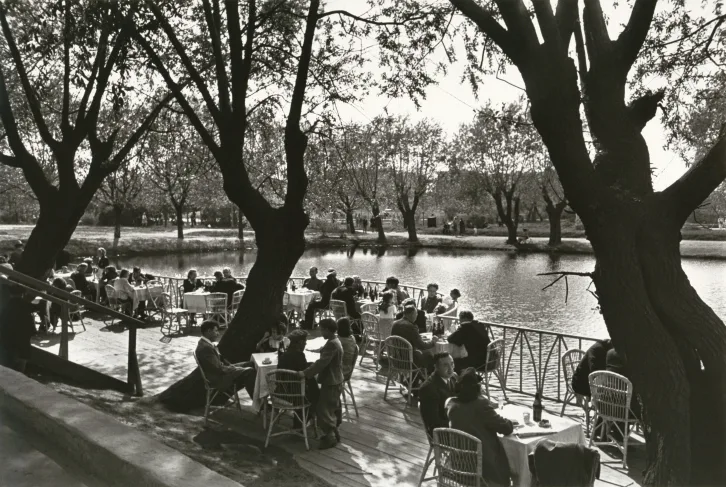 Tea in the gardens of Russia and Turkey. Кадр 5