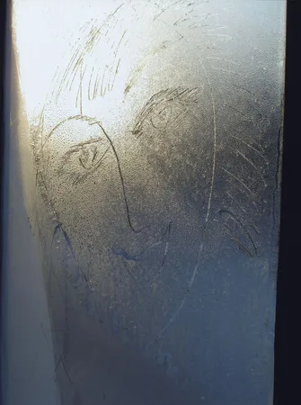 Frost. Кадр 8