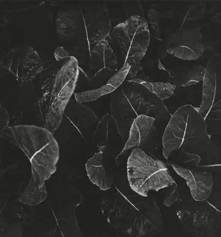 The geometry of light. Кадр 5