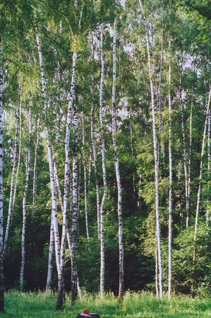 Moscow parks 2. Кадр 13