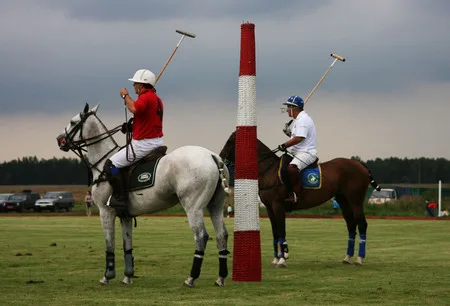 Polo on Russian field. Кадр 7