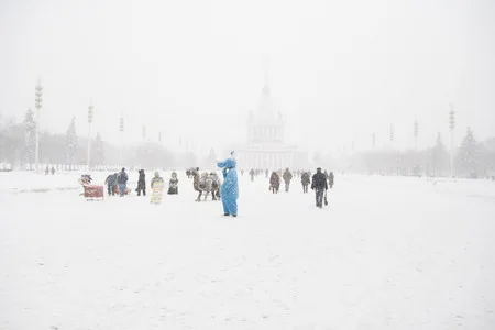 Sense and Sensibility. Кадр 11