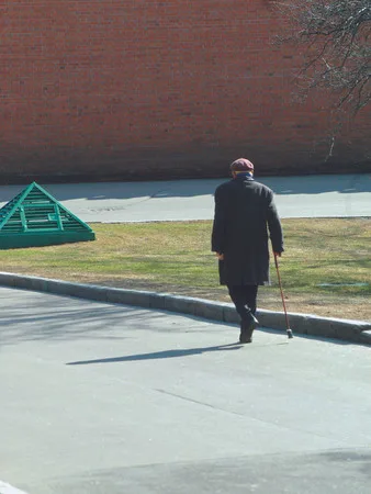 Lines and people. Кадр 4