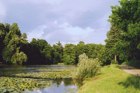 Moscow parks 2. Кадр 1