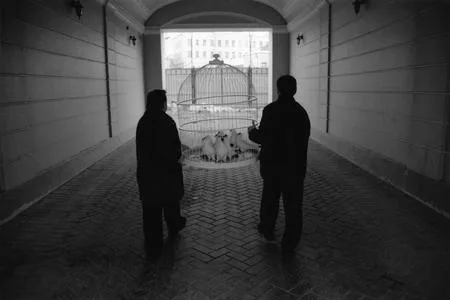 Голуби в Столешниковом. Кадр 3