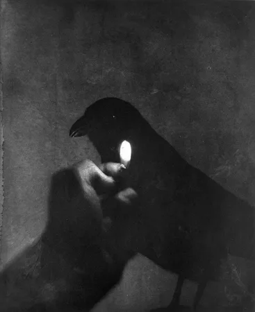 Фотографии. 1996 — 1998. Кадр 1