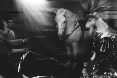 About the Circus. Кадр 11