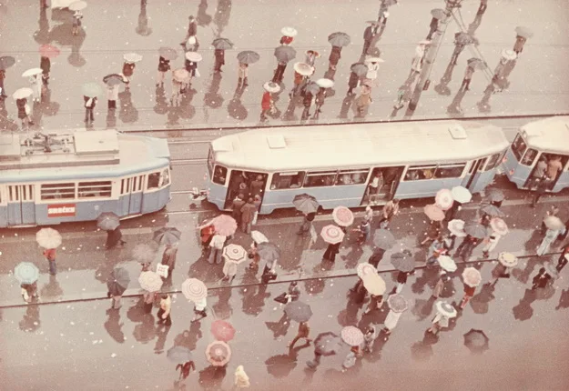 Первоцвет. Ранний цвет в русской фотографии. Кадр 17