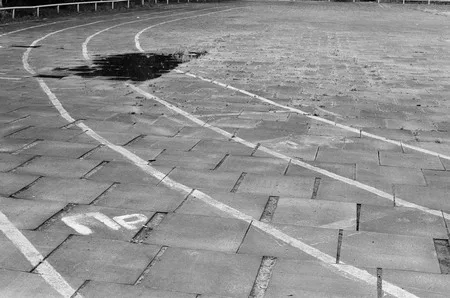Playgrounds. Кадр 7