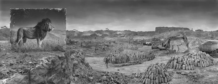 Inherit the Dust. Кадр 4