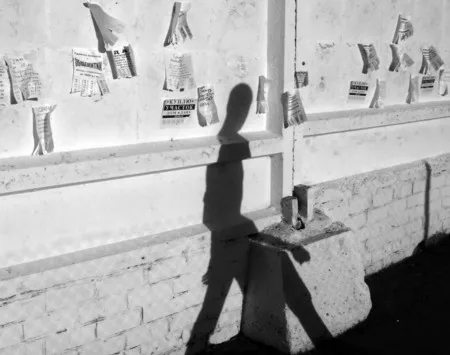 Playing with a shadow. Кадр 14
