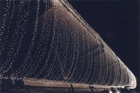 Lights. Кадр 8