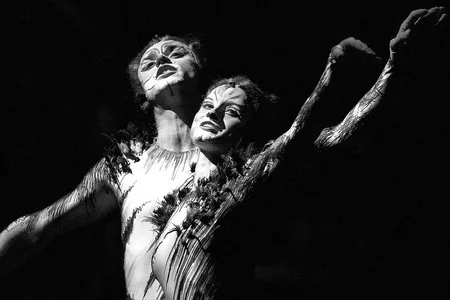 Cats from the misical “Cats”. Кадр 2