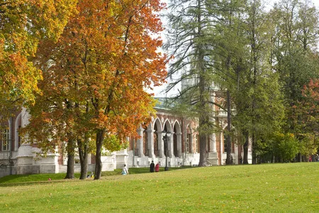 Tzaritzyno. Кадр 4