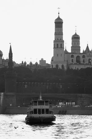Московская чайка у себя дома — портрет в интерьере. Кадр 15