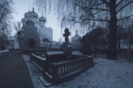 Новодевичка. Кадр 5