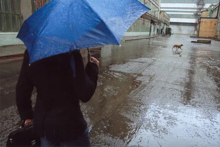 Rain. Кадр 11