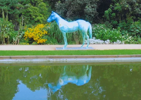 Horses in the city. Кадр 7