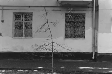 Simple geometry. Кадр 6