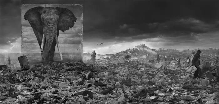 Inherit the Dust. Кадр 8