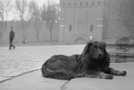 Around of the Kremlin. Кадр 1