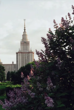 Stalin lilac. Кадр 1