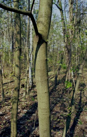 Spring 2004. Кадр 30
