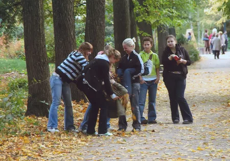 Autumn in the botanic garden of MSU. Кадр 8