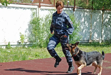 In the dog training centre. Кадр 10