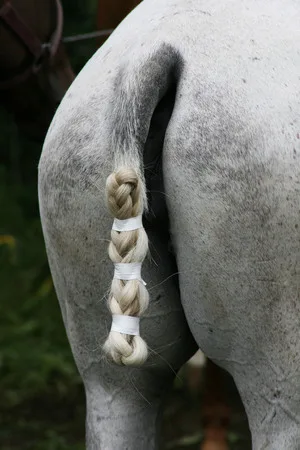 Polo on Russian field. Кадр 9