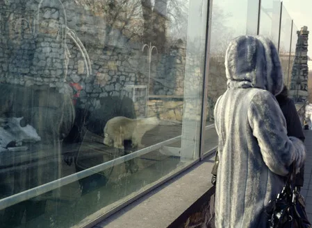 Whose fur coat is better?. Кадр 3