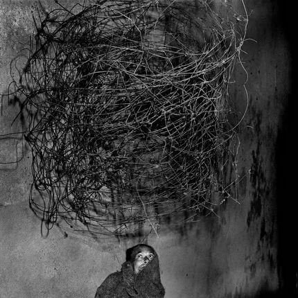 Страна теней. Фотографии Роджера Баллена. 1982—2013 годов. Кадр 8