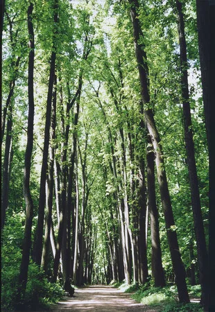 Parcs of Moscow. Кадр 1