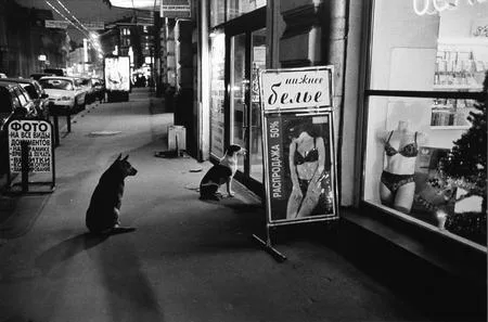 Современная российская фотография. 1991-2003. Кадр 12