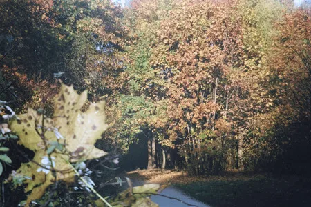 Kuzminki manor. Autumn 2005. Кадр 4