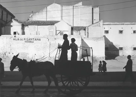 Ten Photographers. Кадр 7