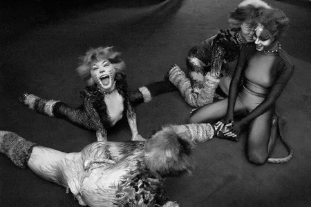 Jury Bogomaz, -147;Cats-148; musical. Кадр 2