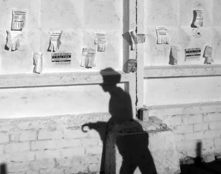 Playing with a shadow. Кадр 3