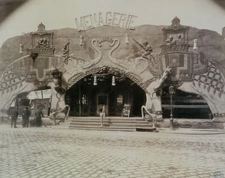 Paris at the Turn of the Century. Кадр 2