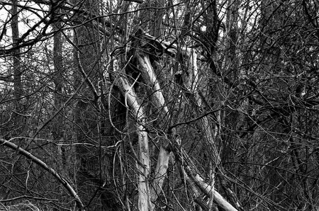 Still life: Calm life and Still life. Кадр 11