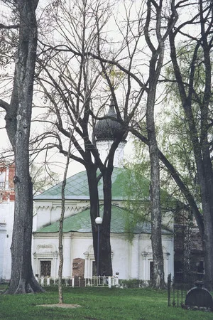 Spring in Novodevichi. Кадр 2