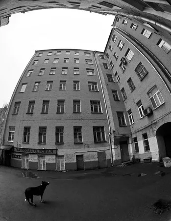 Хитровка, Покровка. Кадр 7