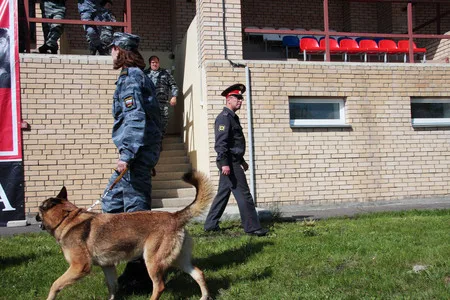 In the dog training centre. Кадр 8