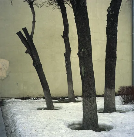 ЭМ. Кадр 14