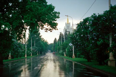 Stalin lilac. Кадр 4