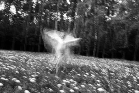 Dreams about childhood (country Moscow, Vostryakovo). Кадр 7